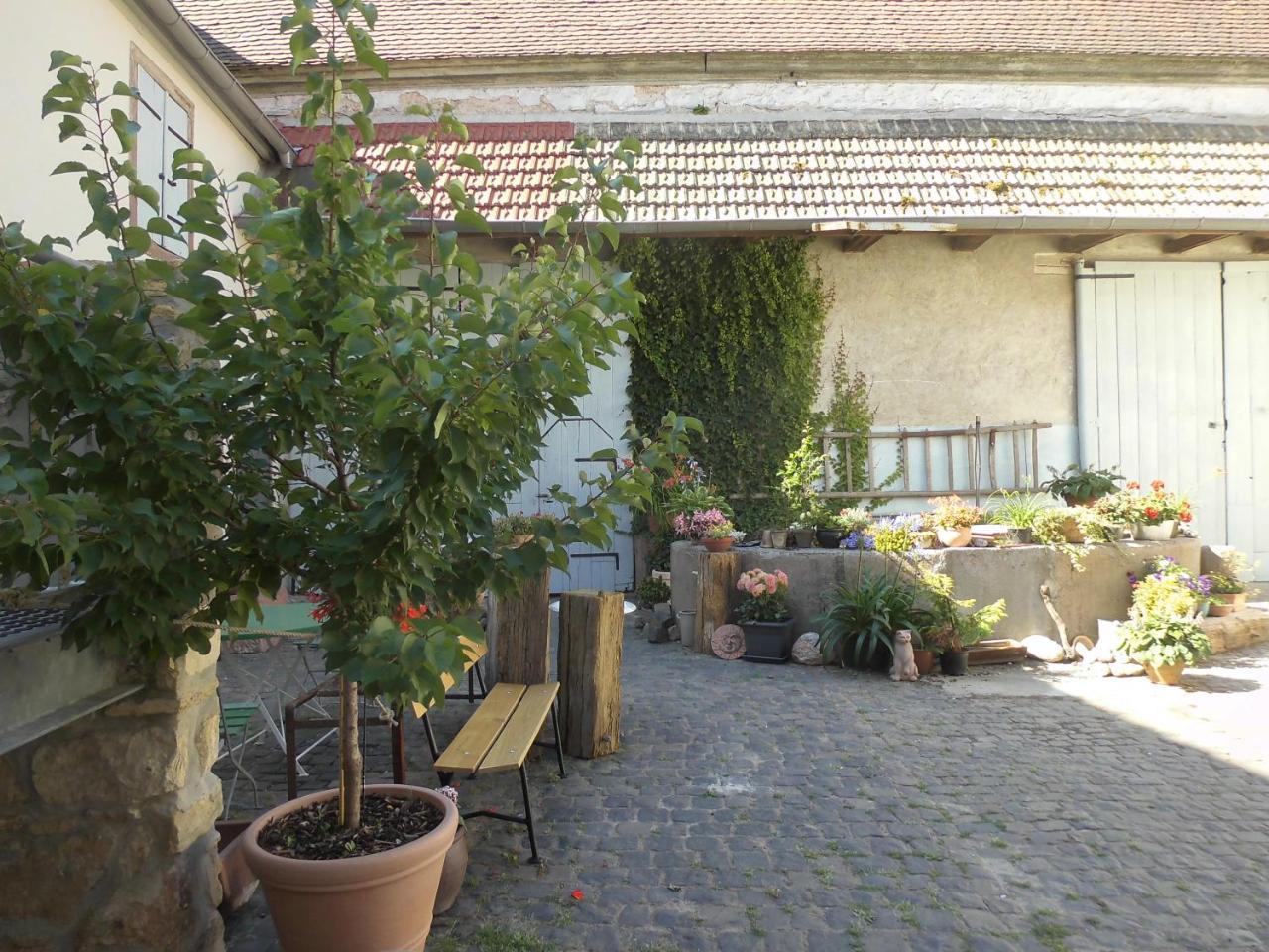 Gästezimmer Mittelgasse Florsheim-Dalsheim Exterior foto